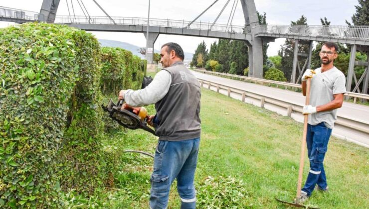 Karacabey’de Hummalı Çalışma