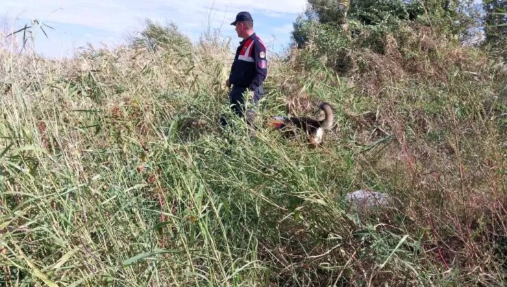 Karacabey’de Kaybolan 68 Yaşındaki Adamın Cansız Bedeni Bulundu