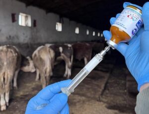 Kars’ta Hayvan Sağlığı Garanti Altına Alındı