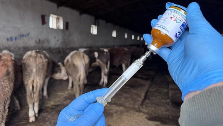 Kars’ta Hayvan Sağlığı Garanti Altına Alındı