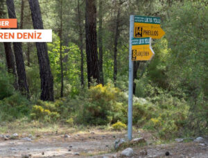 Kaş’ta Likya Yolu’nun Geçtiği Ormana Tesis İhalesi: Halk Ayakta