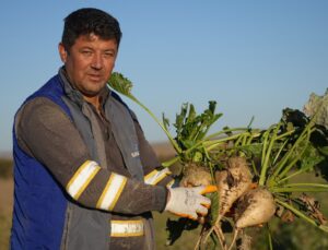 Kırıkkale’de Kuraklık Şeker Pancarının Rekoltesini Etkiledi