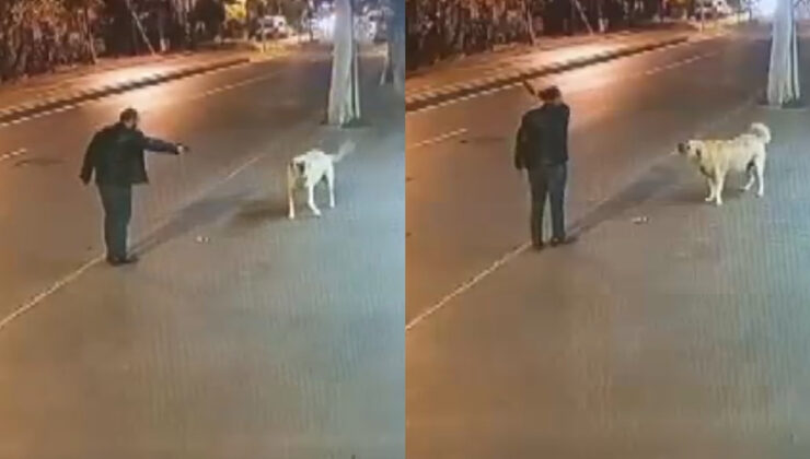 Köpeğe Silah Doğrultup Ateş Açmaya Çalıştı, Serbest Bırakıldı