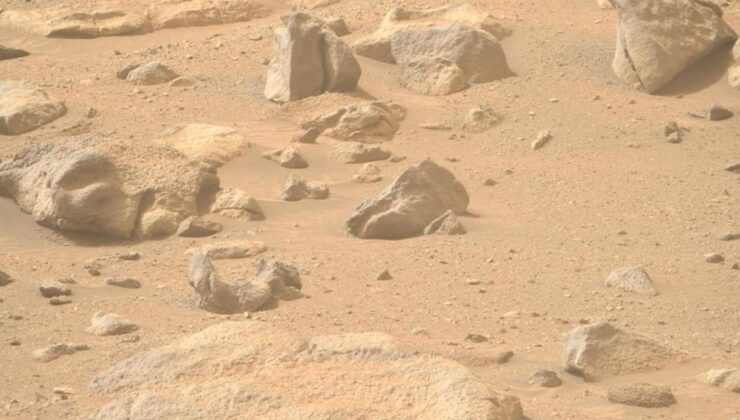 Mars’tan Gelen İmajdaki İnsan Yüzü Detayı