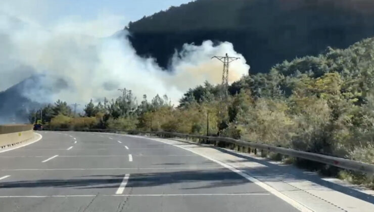 Mersin’de Orman Yangını Çıktı