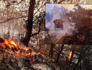 Muğla Yanıyor! 3 Bölgede Alevlerle Mücadelede 12 Saat Geride Kaldı