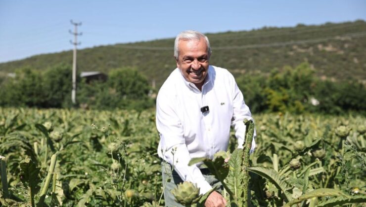 Nilüfer’in Tarım İçin Yol Haritası Belirlenecek