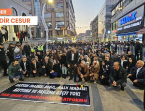 Özer’in Tutuklanması Van’da Protesto Edildi: Kayyım Varsa Normalleşme ve Hukuka Dönüşte Gecikme Vardır