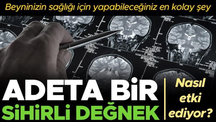 Sağlıklı Bir Beyin İçin Yapılabilecek En Kolay Şey: Sadece Yeşil Ekleyin… Beynimiz İçin Sihirli Değnek! Nasıl Etki Ediyor?