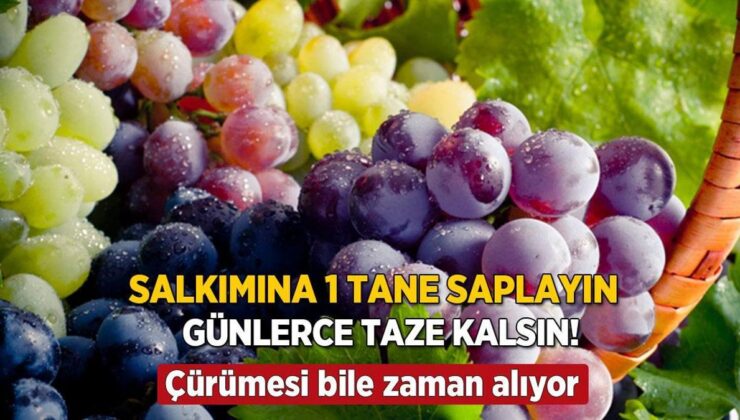 Salkımına 1 Tane Saplayın, Etkisi Günlerce Sürsün! Asla Çürümüyor, Tadı Aynı Kalıyor