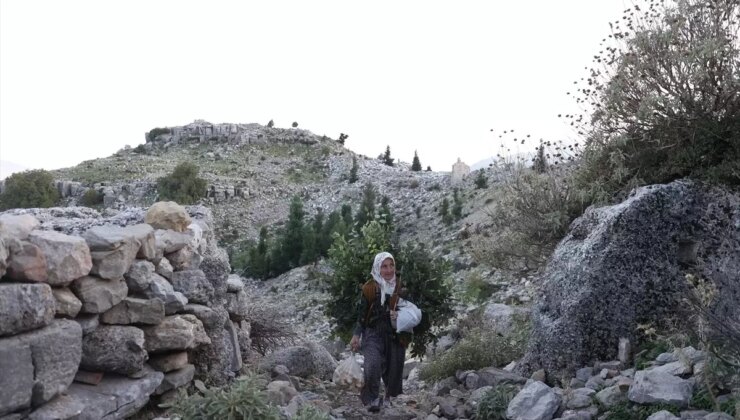 Selge Antik Kenti’nde Çobanlık Yapan Fatma Sevinç’in Hikayesi