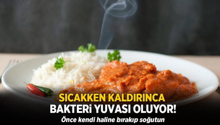 Sıcakken Buzdolabına Koyunca Bakteriler Cirit Atıyor! Oysaki Taktiği Çok Kolaymış