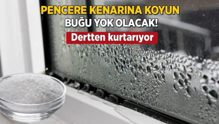 Soğuk Havada Kurtarıcı! Kenarına Bir Kase Koyun, Penceredeki Buğu Yok Olacak