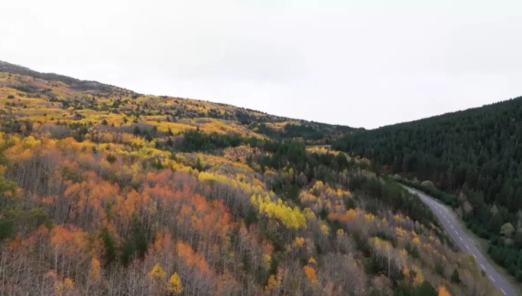 Sonbahar Hoşluğu Erzincan Dağlarında