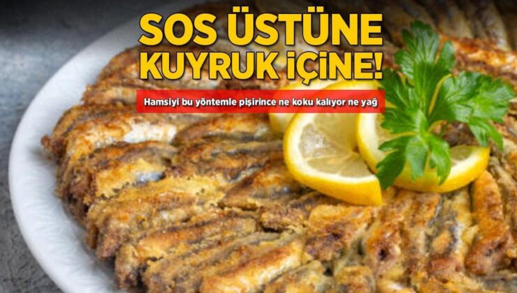 Sos Üstüne Kuyruk İçine! Hamsiyi Bu Metotla Pişirince Ne Koku Kalıyor Ne Yağ