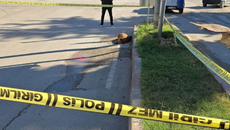 Trafik Lambasından Sızan Kaçak, Su İçen Köpeği Öldürdü