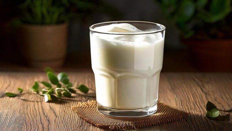 TÜİK: Ayran ve Tereyağ Üretimi Rekor Kırdı