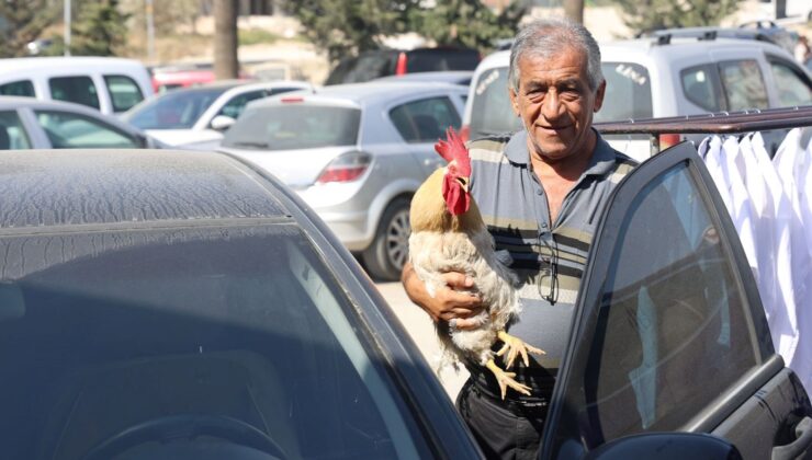 Tüm Teklifleri Reddetti: 19 Aydır Besliyor, Şehir Cinsine Çıkarıyor