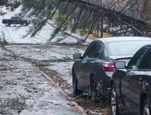 Yagi Tayfunu, Çin’i Vurdu: Saatte 223 Km Hızla Esen Fırtına Yüzbinlerce Kişiyi Evinden Etti