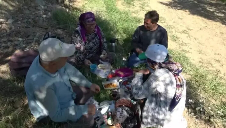 Zeytin Üreticisi: Fiyatlar Maliyeti Karşılamıyor, Çiftçiyi Düşünen Yok