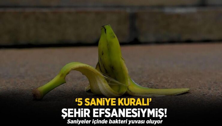 ‘5 Saniye Kuralı’ Şehir Efsanesiymiş! Saniyeler İçinde Bakteri Yuvası Oluyor