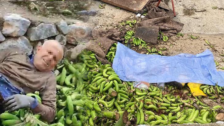 Antalya’da Muz Serasında Facia! Halat Koptu: 2 Ölü, 2 Yaralı