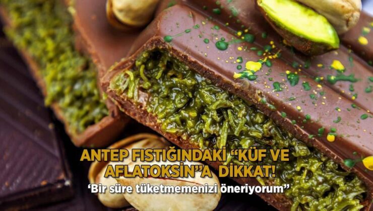 Antep Fıstığındaki “Küf ve Aflatoksin”A  Dikkat!  ‘Bir Süre Tüketmemenizi Öneriyorum”