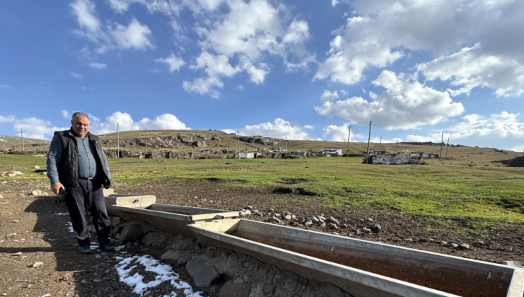 Ardahan Yaylaları Sulama Projesi ile Hayvancılıkta Tezli