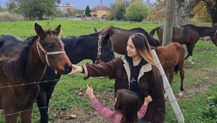 At Sevgisiyle Başlayan Hobi Hipodromda Devam Ediyor: Kurduğu Tesiste Yarış Atı Üretiyor