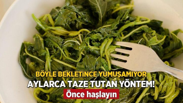 Aylarca Ne Lezzeti Ne Vitamini Eksilecek! Karadeniz’in Baş Tacı, Vakumlayıp Kaldırın