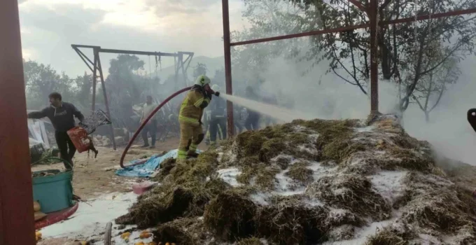 Bahçedeki Samanlar Alev Alev Yandı