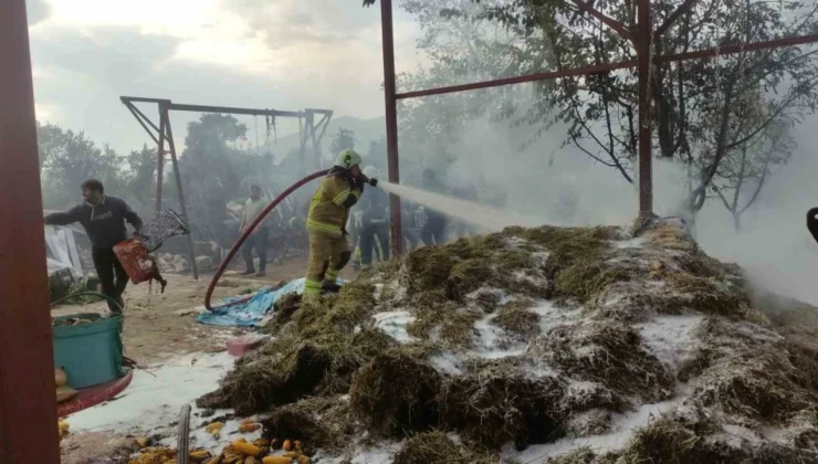 Bahçedeki Samanlar Alev Alev Yandı