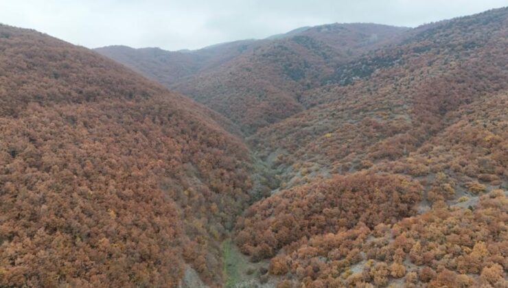 Bilecik’te Sonbahar Görünümleri