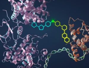 Bilim İnsanları, Kanser Hücrelerini Öldüren Yeni Bir Sistem Keşfetti