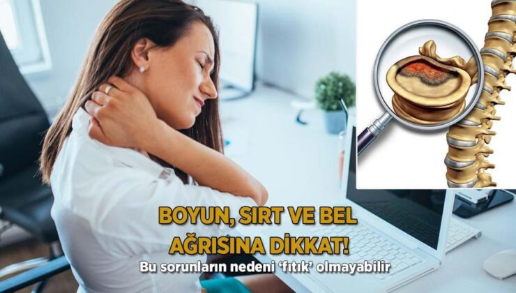 Boyun, Sırt ve Bel Ağrısına Dikkat! ‘Bu Sorunların Nedeni ‘Fıtık’ Olmayabilir