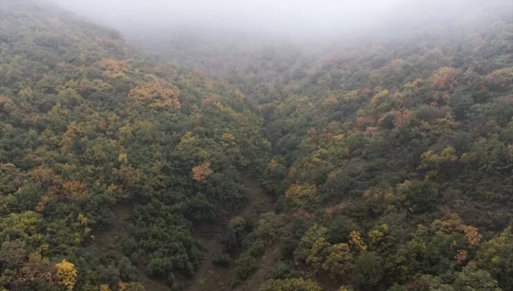 Bozdağ’da Sonbahar Renkleri: Tabiatın Görsel Zenginliği