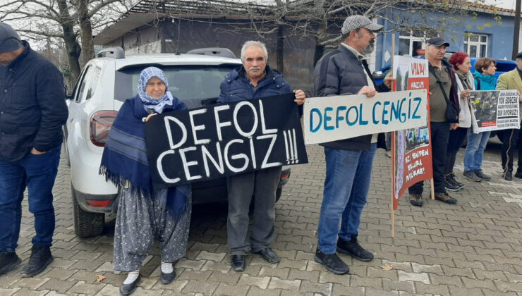 Cengiz Holding’ten Kazdağları’nda Ağaç Kesiti