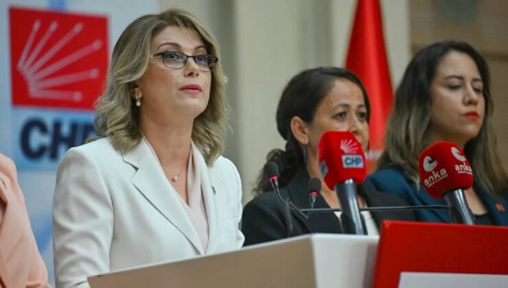 CHP’li Kaya’dan Özlem Güçlü’ye Tepki: Melisa Sinem Neredeyse Her Yıl Doğum Yapmış, Peki Hani Aile Planlama Siyasetiniz, Kadın Sağlığı Siyasetiniz Nerede?