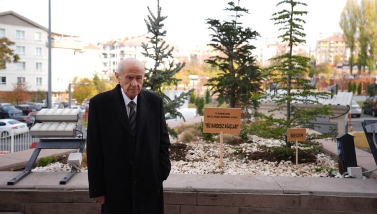 Devlet Bahçeli’den “Biz Kardeşiz Ağaçları”