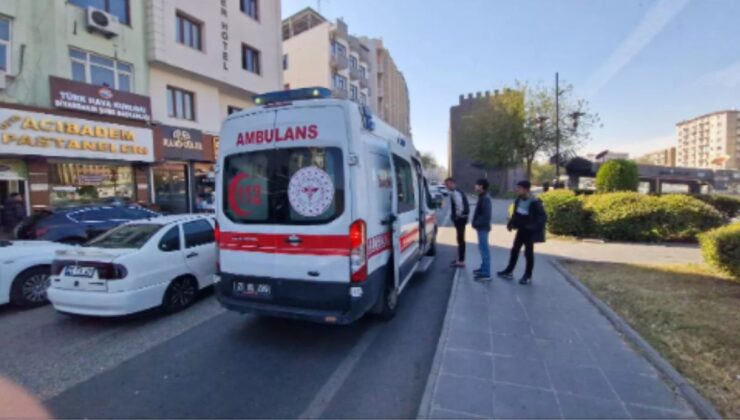 Diyarbakır’da Mendil Satan Çocuğa Sokak Köpekleri Saldırdı