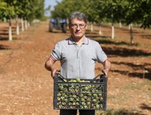 Gıda Mühendisliğini Bıraktı: Ceviz Sürece Tesisi Kurdu