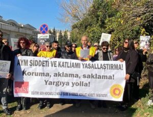 Hayvan Hakları Savunucuları, Kocaeli’deki Barınak Katliamı İçin Adalet Talep Ediyor