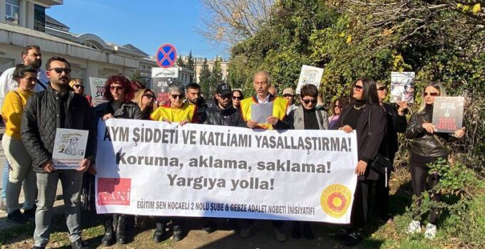 Hayvan Hakları Savunucuları, Kocaeli’deki Barınak Katliamı İçin Adalet Talep Ediyor