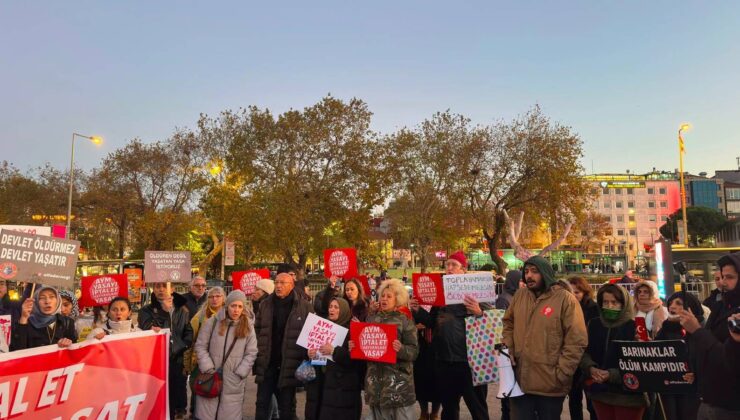 Hayvan Hakları Savunucularından Ortak Çağrı: Katliam Yasasını İptal Et, Hayvanları Yaşat