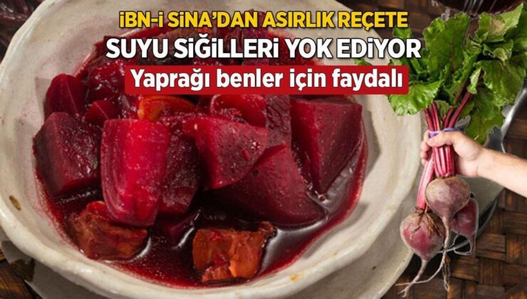 İbn-İ Sina Şifa Reçetesini Verdi! Suyu Siğilleri, Yaprağı Benleri Yok Edecek Güçte