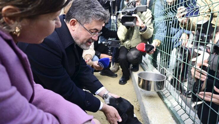 İbrahim Yumaklı, Barınaktan Köpek Sahiplendi