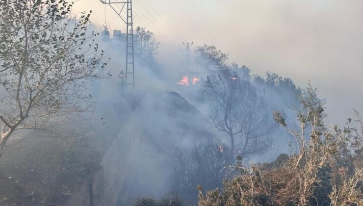 İki İlde Orman Yangını: Hatay’da Yangın Evlere Sıçradı