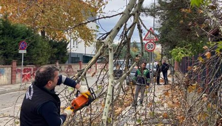 İnegöl Belediyesi Alana İndi; Lodosun İzleri Siliniyor