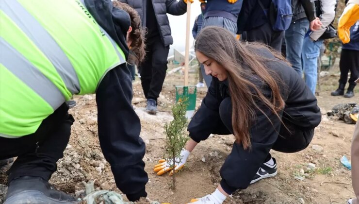 İstanbul Üniversitesi-Cerrahpaşa’da 1071 Fidan Dikimi Gerçekleşti