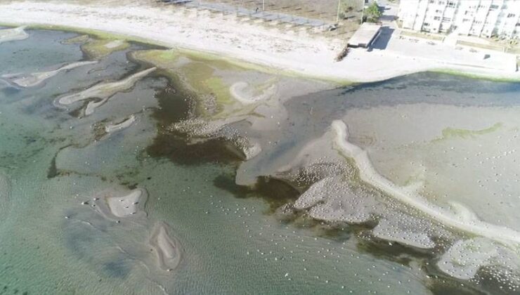 İstanbul’da Korkutan Görüntü: Deniz Suyu Metrelerce Çekildi, Balıkçılar Açılamadı